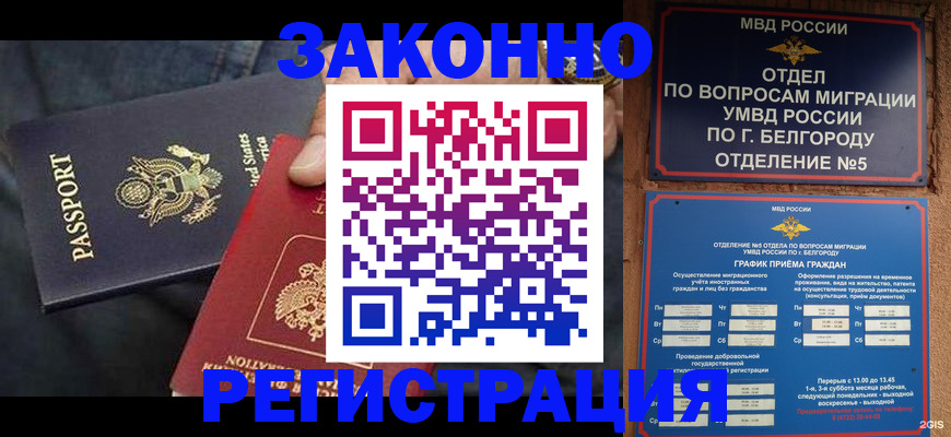 прописка законно в Белой Холунице